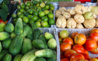 Les bienfaits de l&rsquo;alimentation à tendance locale : Pourquoi choisir Samdey ?